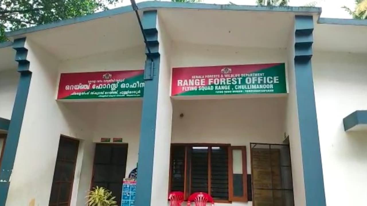 ഫോറസ്റ്റ് ഓഫിസ് വളപ്പിലെ മരം മുറിക്കുന്നതിനിടെ കേടായ മരം വീണ് തൊഴിലാളിക്ക് ദാരുണാന്ത്യം ഫോറസ്റ്റ് ഓഫിസ് വളപ്പിലെ മരം മുറിക്കുന്നതിനിടെ കേടായ മരം വീണ് തൊഴിലാളിക്ക് ദാരുണാന്ത്യം