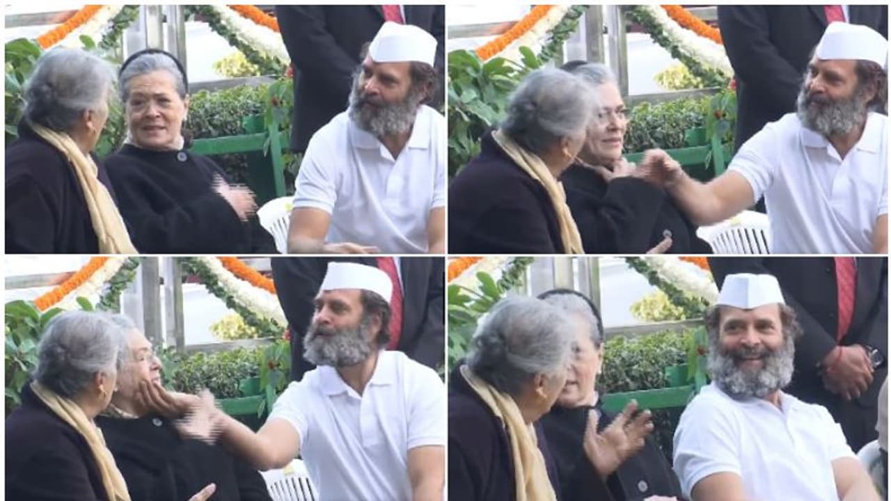 അമ്മ പൊതുവേദിയിൽ, രാഹുലിന് എമ്പിടി സ്നേഹം, കവിളിൽ പിടിച്ച് സ്നേഹം പങ്കിട്ട് രാഹുൽ; പിന്നൊരു കലക്കൻ പുഞ്ചിരി! അമ്മ പൊതുവേദിയിൽ, രാഹുലിന് എമ്പിടി സ്നേഹം, കവിളിൽ പിടിച്ച് സ്നേഹം പങ്കിട്ട് രാഹുൽ; പിന്നൊരു കലക്കൻ പുഞ്ചിരി!