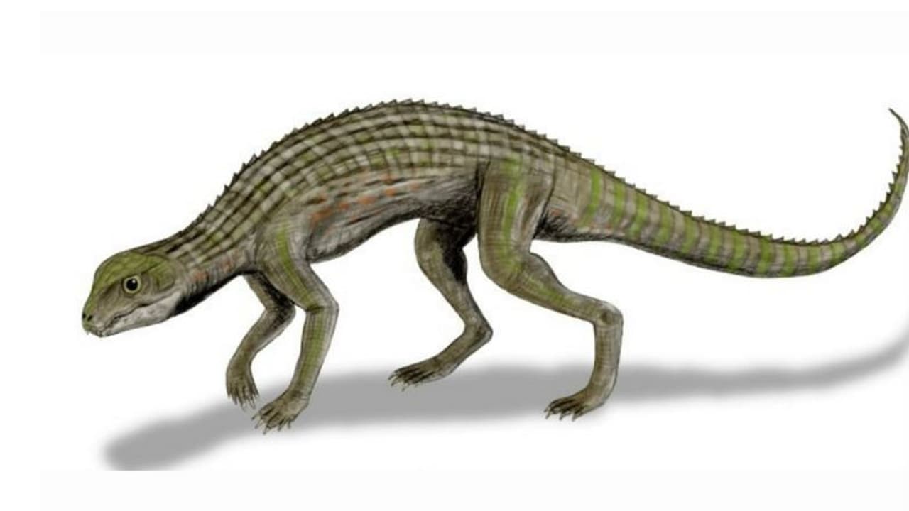 അത് ഡിനോസറായിരുന്നില്ല, ഡിനോസറുകള്ക്കൊപ്പം ജീവിച്ച കൂറ്റന് മുതല, പുതിയ കണ്ടെത്തല്! അത് ഡിനോസറായിരുന്നില്ല, ഡിനോസറുകള്ക്കൊപ്പം ജീവിച്ച കൂറ്റന് മുതല, പുതിയ കണ്ടെത്തല്!