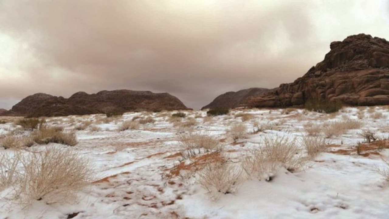 സൗദി അറേബ്യയിൽ ശൈത്യം കടുത്തു, മഞ്ഞ് പുതച്ച മലനിരകള് കാണാന് സന്ദര്ശകരുടെ ഒഴുക്ക് സൗദി അറേബ്യയിൽ ശൈത്യം കടുത്തു, മഞ്ഞ് പുതച്ച മലനിരകള് കാണാന് സന്ദര്ശകരുടെ ഒഴുക്ക്