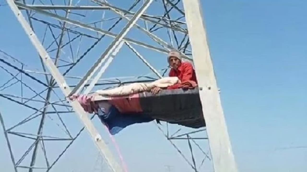 मवेशियों से फसल को बचाने के लिए ट्रांसमिशन लाइन पर चढ़ा किसान, पोल पर बिस्तर लगाकर कर रहा खेत की रखवाली