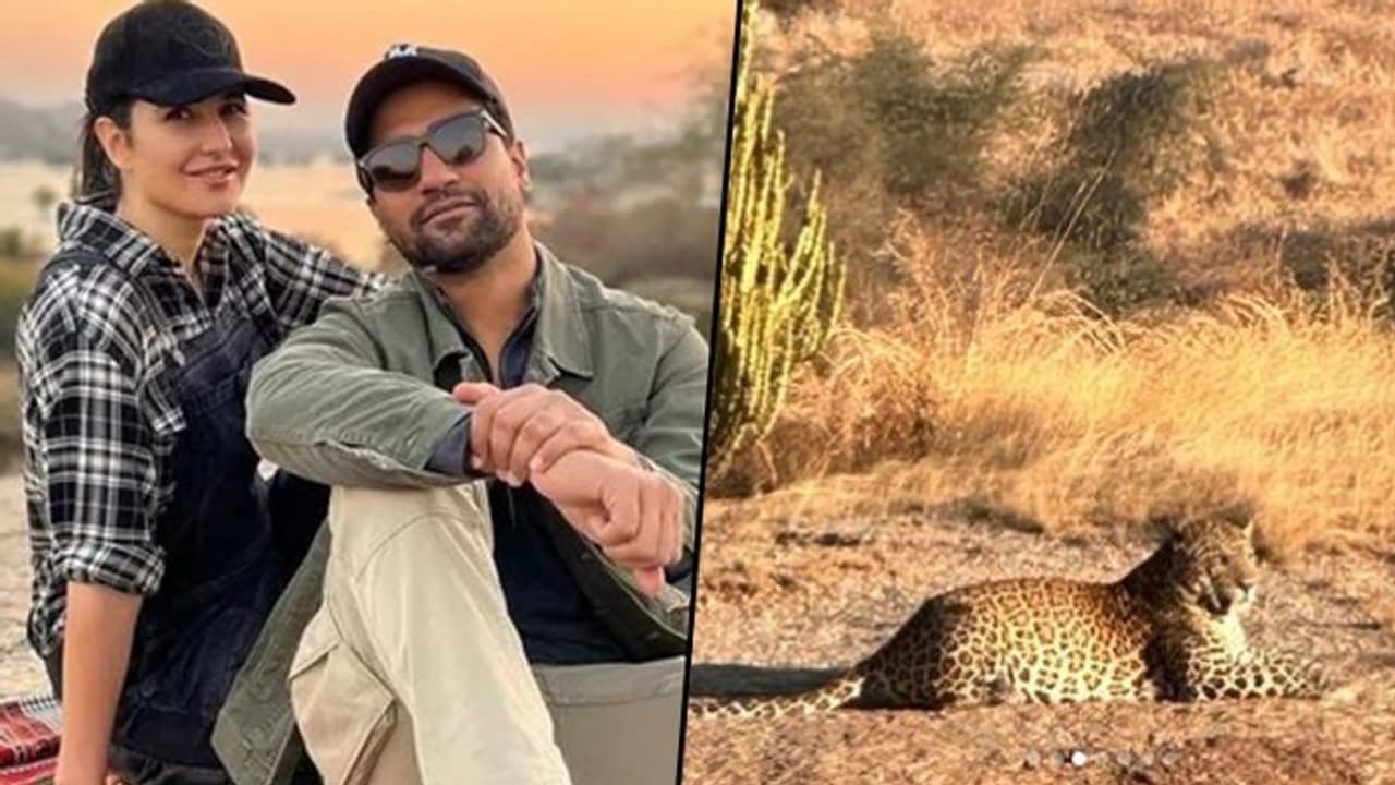 Katrina Kaif, Vicky Kaushal's wild vacation pictures go viral; couple chilling at Rajasthan desert