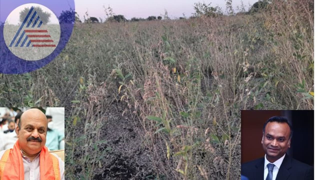 Kalaburagi: ನೆಟೆರೋಗದಿಂದ ತೊಗರಿ ಬೆಳೆ ಹಾನಿ: 500 ಕೋಟಿ ರೂ. ಪ್ಯಾಕೇಜ್ ಘೋಷಣೆಗೆ ಪ್ರಿಯಾಂಕ್ ಖರ್ಗೆ ಆಗ್ರಹ