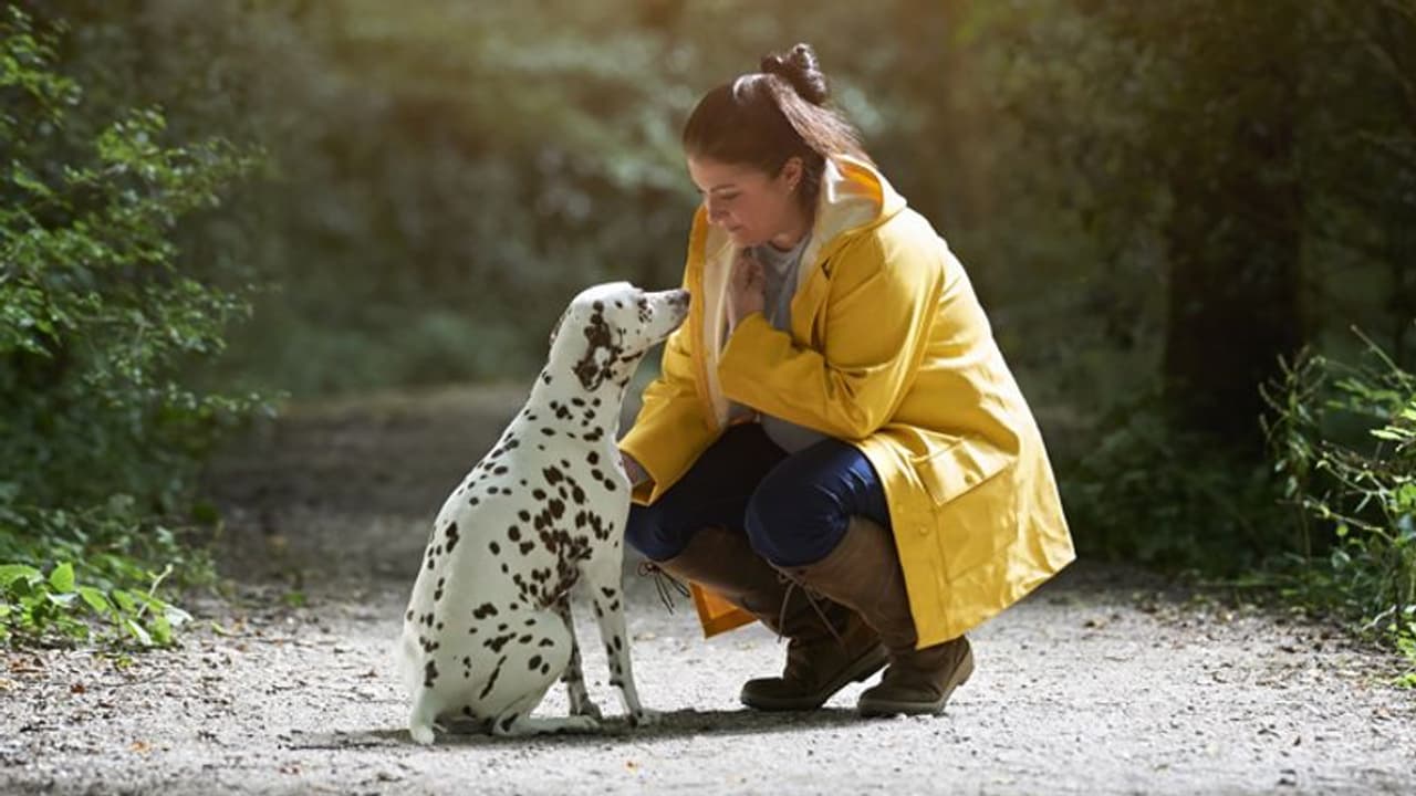 Chanakya Niti: सफलता पाने के लिए कुत्ते के ये 4 गुण सभी इंसानों को सीखने चाहिए Chanakya Niti: सफलता पाने के लिए कुत्ते के ये 4 गुण सभी इंसानों को सीखने चाहिए