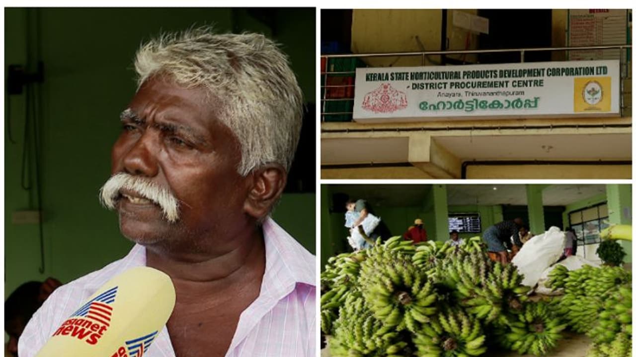 ഹോര്ട്ടികോര്പ്പിൽ നിന്ന് കിട്ടാനുള്ളത് 12 ലക്ഷം, മനംമടുത്ത് സംസ്ഥാന അവാർഡ് നേടിയ കർഷകൻ കൃഷി ഉപേക്ഷിക്കുന്നു ഹോര്ട്ടികോര്പ്പിൽ നിന്ന് കിട്ടാനുള്ളത് 12 ലക്ഷം, മനംമടുത്ത് സംസ്ഥാന അവാർഡ് നേടിയ കർഷകൻ കൃഷി ഉപേക്ഷിക്കുന്നു