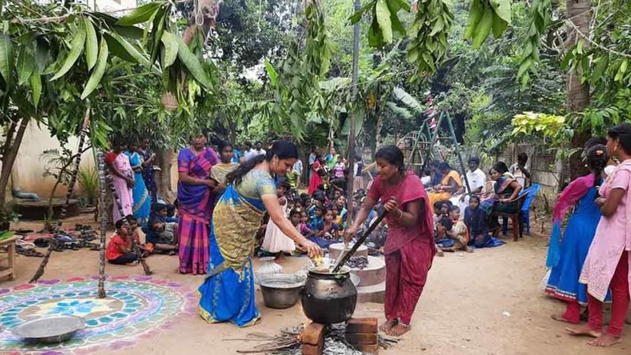 புதுக்கோட்டையில் சர்ச்சைக்குள்ளான கோவிலில் சமத்துவ பொங்கல்; ஆட்சியருக்கு குவியும் பாராட்டு புதுக்கோட்டையில் சர்ச்சைக்குள்ளான கோவிலில் சமத்துவ பொங்கல்; ஆட்சியருக்கு குவியும் பாராட்டு
