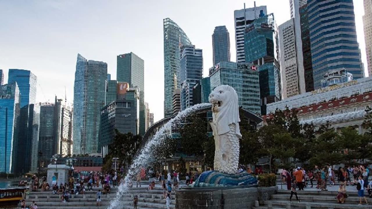 தமிழ்நாட்டின் பார்ட்னர் ஆக விரும்பும் சிங்கப்பூர்! 'பிளான் 5 எக்ஸ்' முதலீடுகளை அதிகரிக்கவும் திட்டம் தமிழ்நாட்டின் பார்ட்னர் ஆக விரும்பும் சிங்கப்பூர்! 'பிளான் 5 எக்ஸ்' முதலீடுகளை அதிகரிக்கவும் திட்டம்