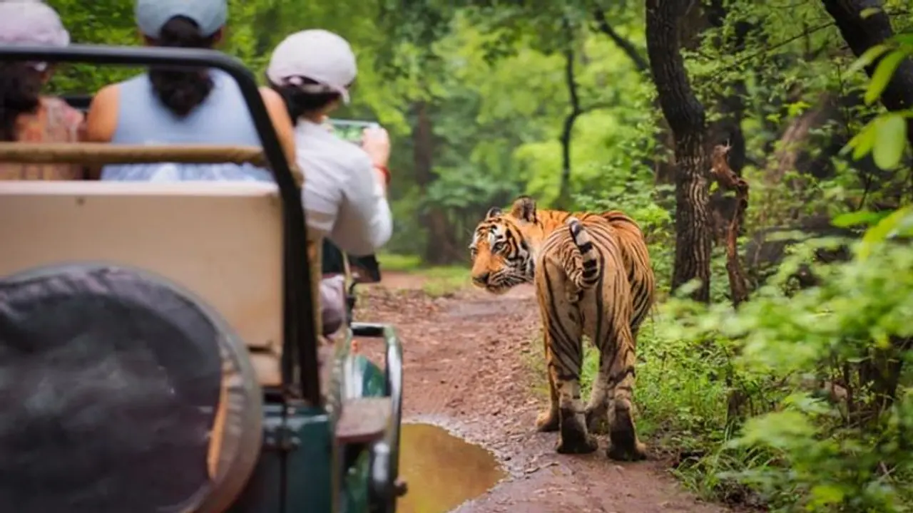 Summer Vacation: 5 iconic destinations for nature lovers