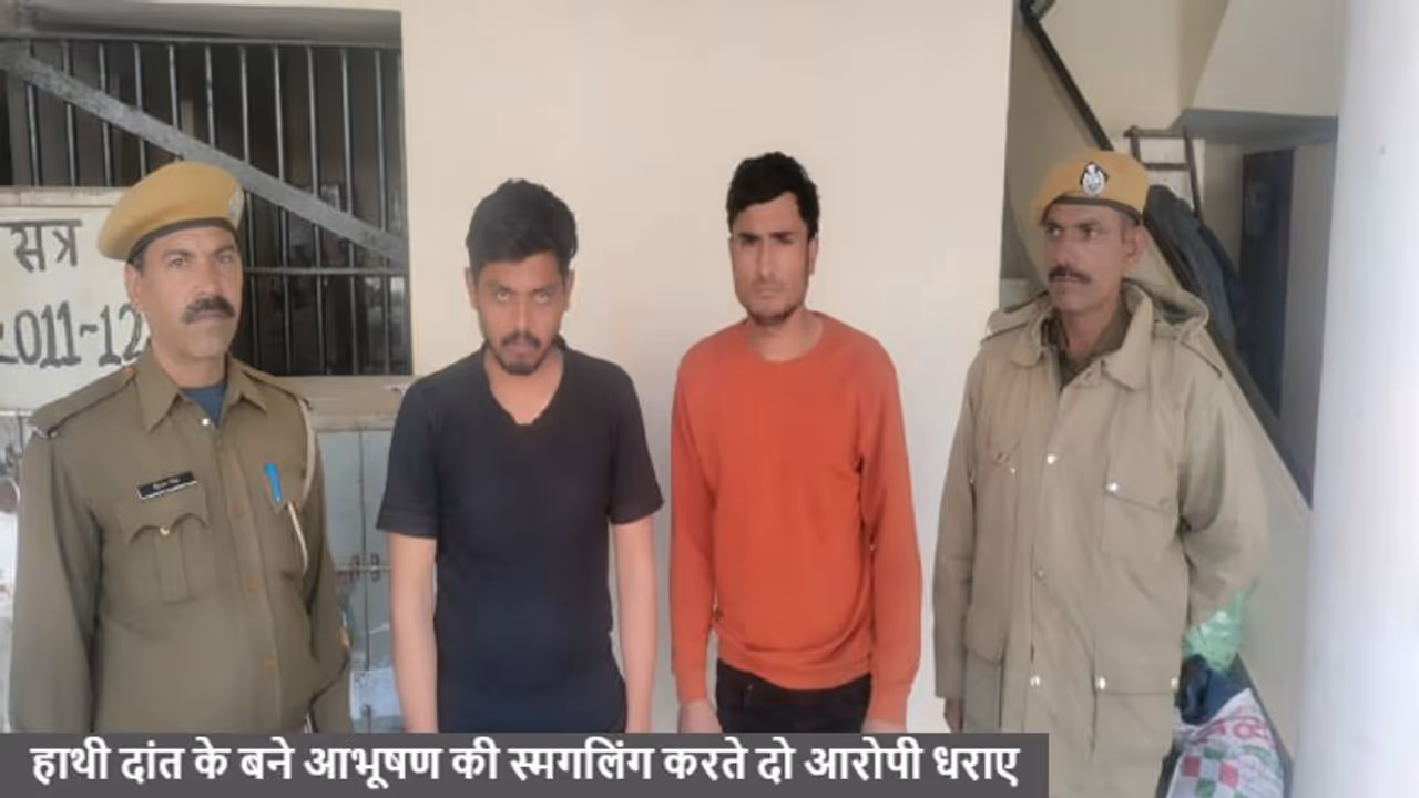 शॉकिंग क्राइमः राजस्थान में हाथी दांत की हो रही स्मगलिंग, इस जिले में हुआ लाखों का माल बरामद शॉकिंग क्राइमः राजस्थान में हाथी दांत की हो रही स्मगलिंग, इस जिले में हुआ लाखों का माल बरामद