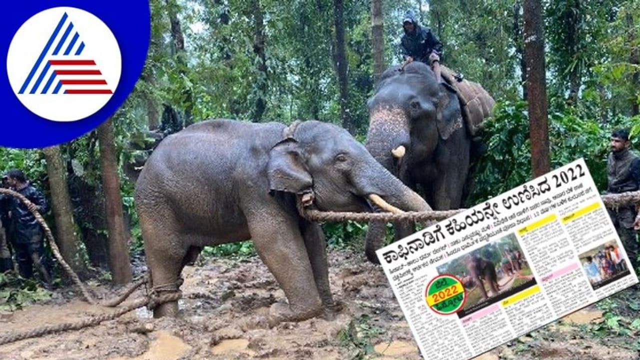 Chikkamagaluru News: ಕಾಫಿನಾಡಿಗೆ ಕಹಿಯನ್ನೇ ಉಣಿಸಿದ 2022 Chikkamagaluru News: ಕಾಫಿನಾಡಿಗೆ ಕಹಿಯನ್ನೇ ಉಣಿಸಿದ 2022