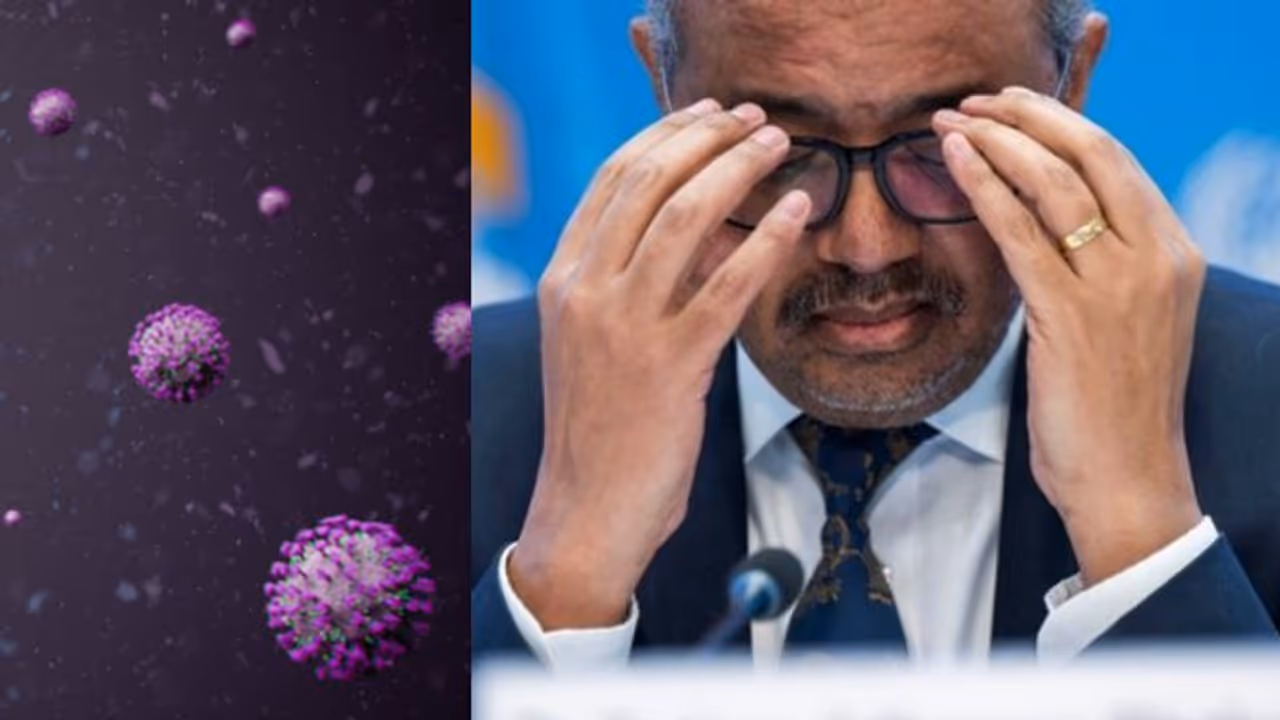 ചൈനയിലെ ഉയര്ന്ന കൊവിഡ് നിരക്കുകൾ ആശങ്കപ്പെടുത്തുന്നു, പിന്തുണ നൽകും: ലോകാരോഗ്യസംഘടന ചൈനയിലെ ഉയര്ന്ന കൊവിഡ് നിരക്കുകൾ ആശങ്കപ്പെടുത്തുന്നു, പിന്തുണ നൽകും: ലോകാരോഗ്യസംഘടന