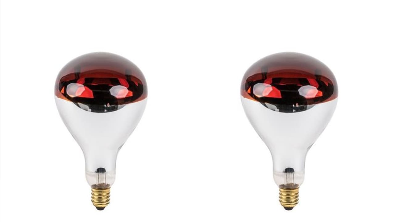 गजब ! ठंड को चुटकियों में खत्म कर देता है यह Bulb, हीटर की नहीं पड़ेगी जरूरत गजब ! ठंड को चुटकियों में खत्म कर देता है यह Bulb, हीटर की नहीं पड़ेगी जरूरत