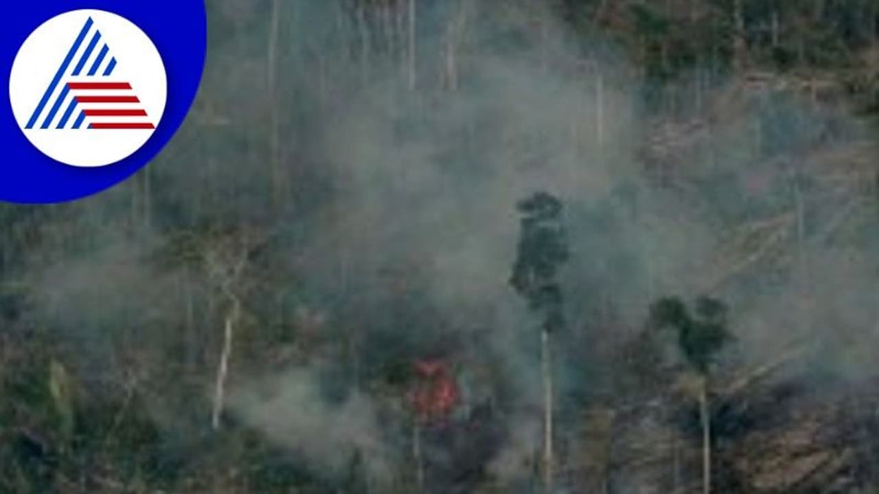 Ballari News: ಕಾಡ್ಗಿಚ್ಚು ತಡೆಗೆ ಅರಣ್ಯ ಇಲಾಖೆ ಸನ್ನದ್ಧ Ballari News: ಕಾಡ್ಗಿಚ್ಚು ತಡೆಗೆ ಅರಣ್ಯ ಇಲಾಖೆ ಸನ್ನದ್ಧ