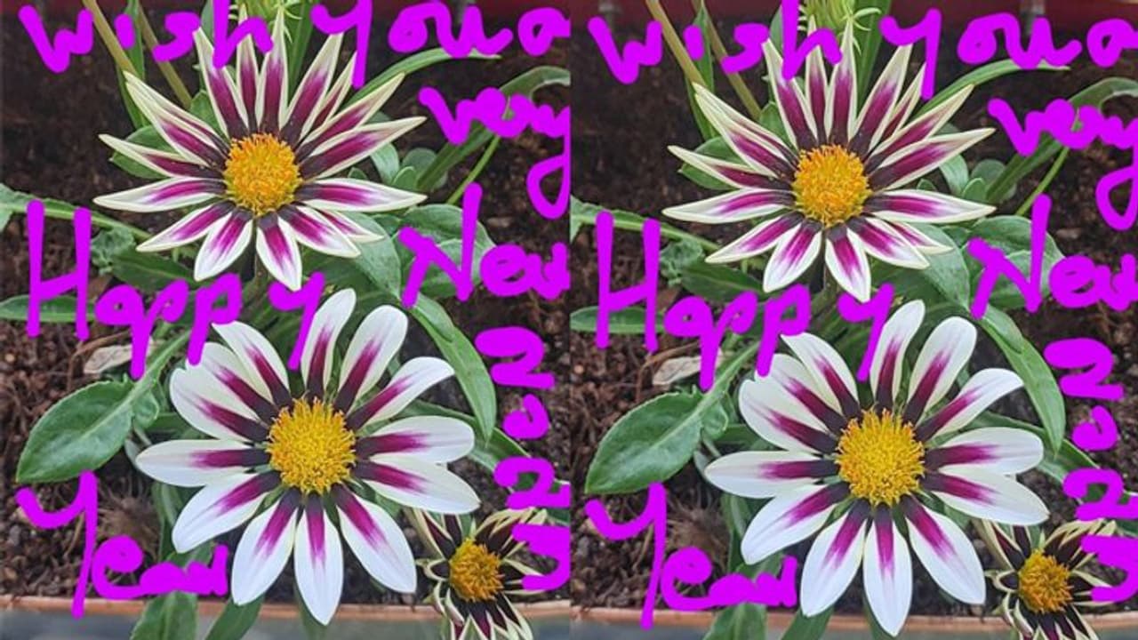 శాంతి కవిత : విశ్వ నరులు శాంతి కవిత : విశ్వ నరులు