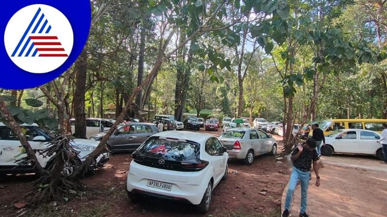 Bhadra Wildlife Sanctuary: ಭದ್ರಾ ಅಭಯಾರಣ್ಯದಲ್ಲಿ ಪ್ರವಾಸಿಗರ ದಟ್ಟಣೆ ತಡೆಯಿರಿ Bhadra Wildlife Sanctuary: ಭದ್ರಾ ಅಭಯಾರಣ್ಯದಲ್ಲಿ ಪ್ರವಾಸಿಗರ ದಟ್ಟಣೆ ತಡೆಯಿರಿ