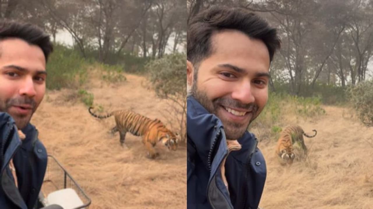 സ്പെഷ്യല്‍ അതിഥിയെ പരിചയപ്പെടുത്തി വരുണ്‍ ധവാന്‍റെ സെല്‍ഫി വീഡിയോ 