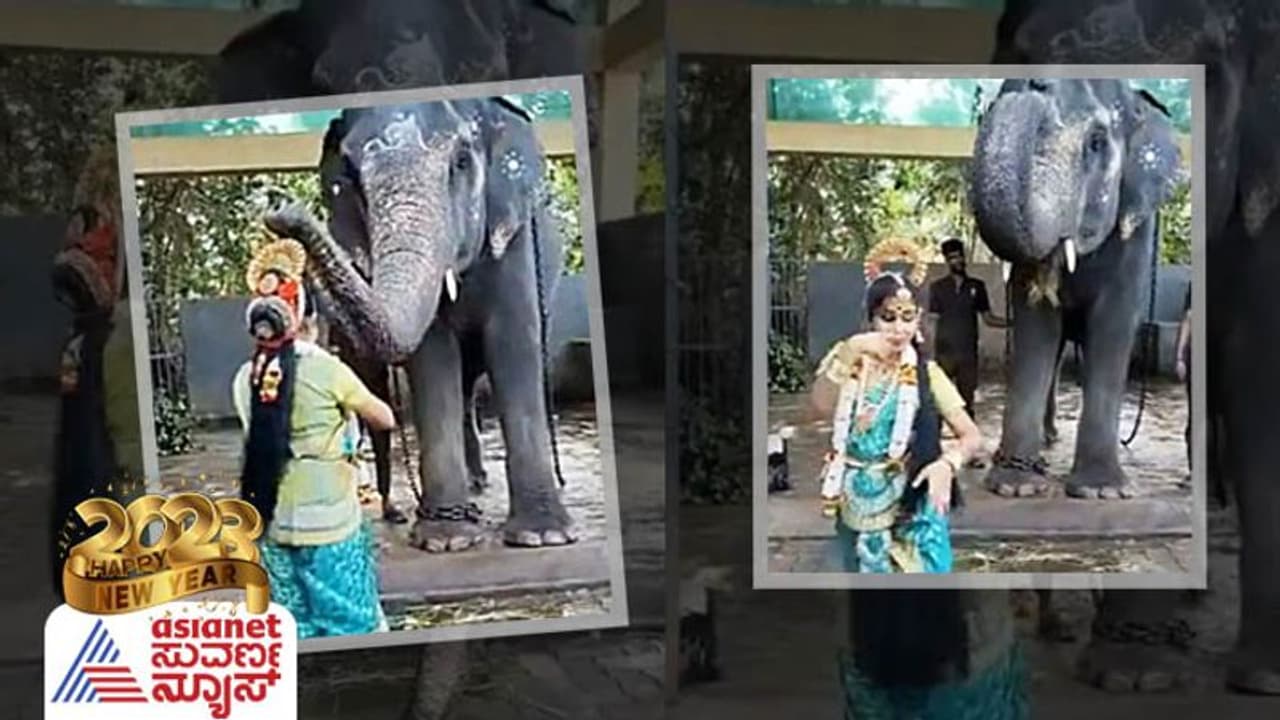 Viral Video: ನೃತ್ಯ ಮಾಡಿದ ಬಾಲಕಿಯ ತಲೆ ಮೇಲೆ ಸೊಂಡಿಲಿಟ್ಟು ಆಶೀರ್ವದಿಸಿದ ಆನೆ