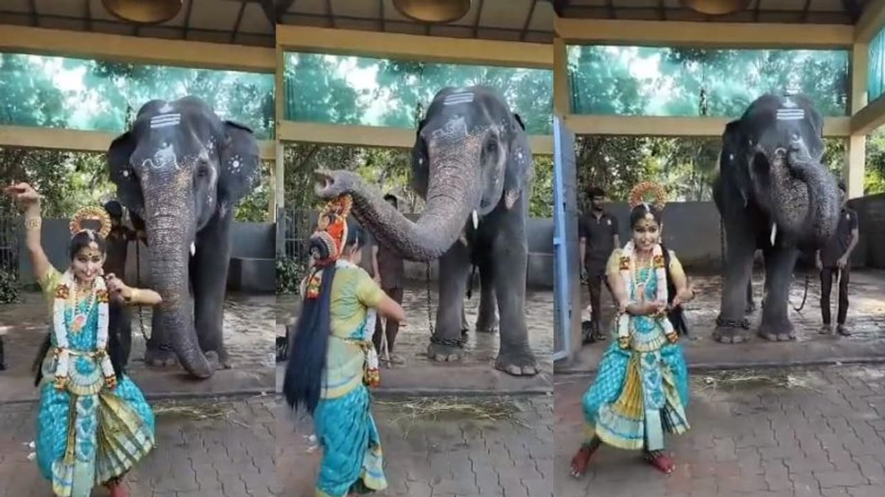 நடனம் ஆடிய பெண்ணை ஆசிர்வதிக்கும் வீடியோ… ஆனந்த் மஹிந்திரா பகிர்ந்த வீடியோ வைரல்!! நடனம் ஆடிய பெண்ணை ஆசிர்வதிக்கும் வீடியோ… ஆனந்த் மஹிந்திரா பகிர்ந்த வீடியோ வைரல்!!