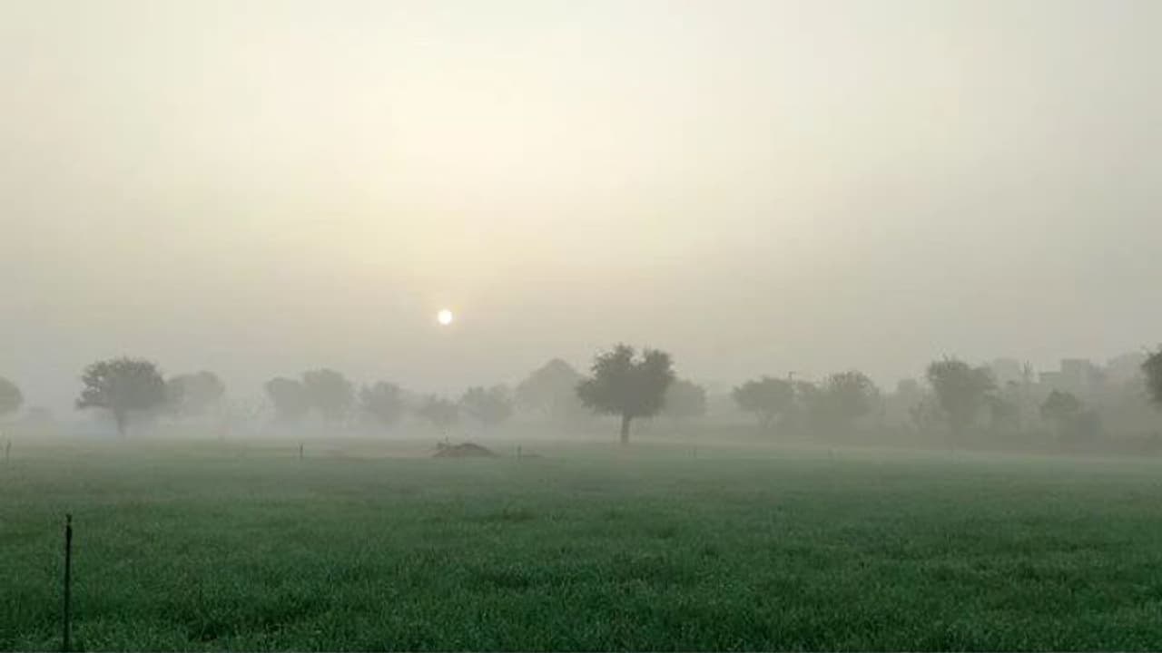 राजस्थान वेदर अपडेटः प्रदेश में 5 दिन कड़ाके की सर्दी, 25 किमी स्पीड से चलेगी शीतलहर, 12 जिलों में अलर्ट जारी राजस्थान वेदर अपडेटः प्रदेश में 5 दिन कड़ाके की सर्दी, 25 किमी स्पीड से चलेगी शीतलहर, 12 जिलों में अलर्ट जारी