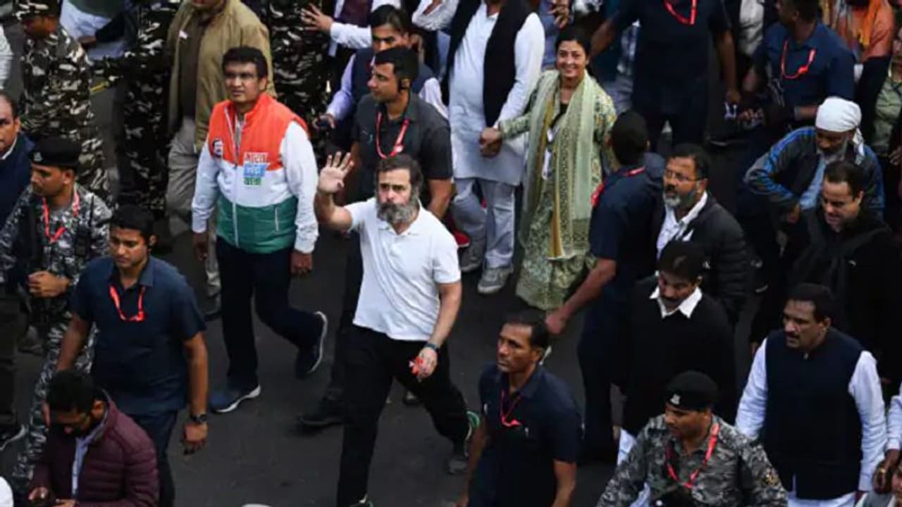 Rahul Gandhi Bharat Jodo yatra: 3,000கி.மீ நிறைவு!ராகுல் காந்தியின் பாரத் ஜோடோ யாத்திரை உ.பி.க்குள் நுழைகிறது