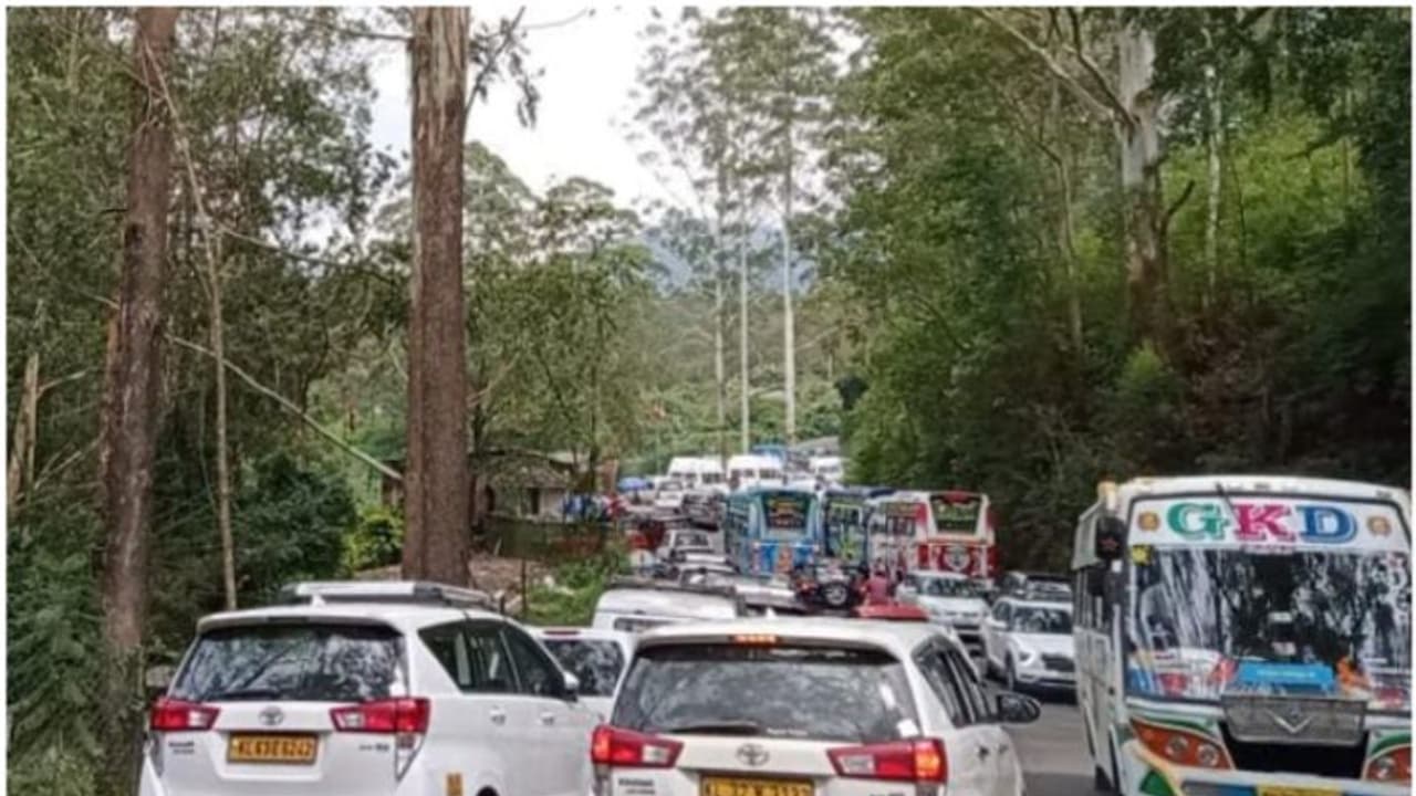 ക്രിസ്തുമസ് ന്യൂയര്‍ ദിനത്തില്‍ മൂന്നാറിലെത്തിയത് ഒരു ലക്ഷത്തിലധികം സഞ്ചാരികള്‍