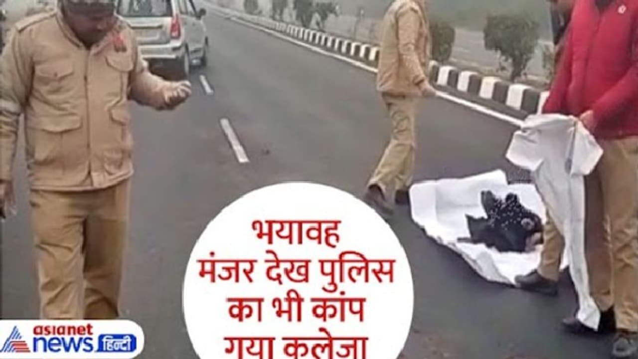 नए साल का हृदय विदारक दृश्य: हाईवे पर यूं चिपकी लाश, हड्डियां चूर चूर हो गईं...मांस के लोथड़े फावड़े से खुरचे नए साल का हृदय विदारक दृश्य: हाईवे पर यूं चिपकी लाश, हड्डियां चूर चूर हो गईं...मांस के लोथड़े फावड़े से खुरचे
