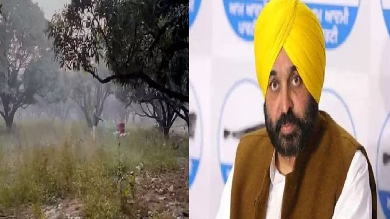 முதல்வர் வீட்டருகே வெடிகுண்டு கண்டெடுப்பு... உச்சக்கட்ட பரபரப்பில் பஞ்சாப்!! முதல்வர் வீட்டருகே வெடிகுண்டு கண்டெடுப்பு... உச்சக்கட்ட பரபரப்பில் பஞ்சாப்!!