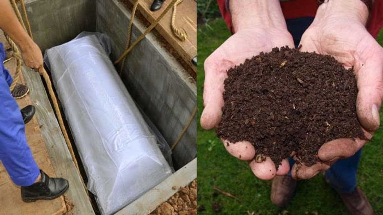 अब लोगों की डेडबॉडी से बनेगी खाद, मौत के एक महीने के अंदर मुर्दे को खाद बनाकर दे देंगे घर वालों को अब लोगों की डेडबॉडी से बनेगी खाद, मौत के एक महीने के अंदर मुर्दे को खाद बनाकर दे देंगे घर वालों को