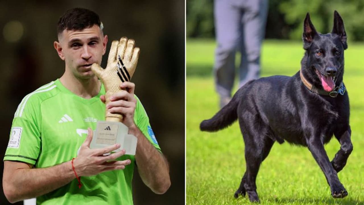 ലോകകപ്പ് മെഡലുകള്‍ ഇരിക്കുന്ന വീടിന് ഒരു കാവല്‍ വേണം! മുന്തിയ ഇനം നായയെ സ്വന്തമാക്കി എമിലിയാനോ മാര്‍ട്ടിനെസ്