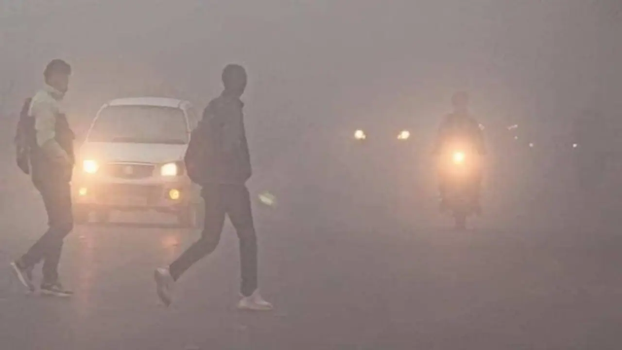 2022 से ज्यादा सर्द होगा साल 2023, राजस्थान में छाया घना कोहरा, जमाव बिंदु के नीचे पहुंचा पारा