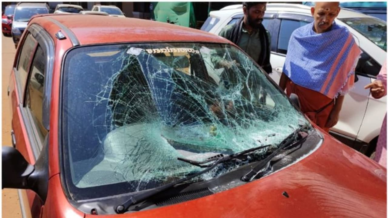 തിരുനെല്ലിയില് കാര് യാത്രികര്ക്ക് നേരെ കാട്ടാനയുടെ ആക്രമണം, നുല്പ്പുഴയില് കടുവ ആക്രമിച്ച പശു ചത്തു തിരുനെല്ലിയില് കാര് യാത്രികര്ക്ക് നേരെ കാട്ടാനയുടെ ആക്രമണം, നുല്പ്പുഴയില് കടുവ ആക്രമിച്ച പശു ചത്തു