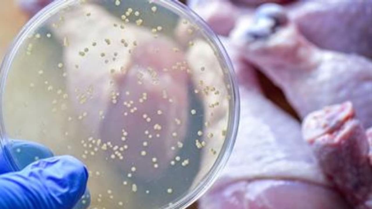 ഭക്ഷ്യവിഷബാധ ജീവനെടുക്കുമ്പോള്; ശ്രദ്ധിക്കേണ്ട ചില കാര്യങ്ങൾ... ഭക്ഷ്യവിഷബാധ ജീവനെടുക്കുമ്പോള്; ശ്രദ്ധിക്കേണ്ട ചില കാര്യങ്ങൾ...