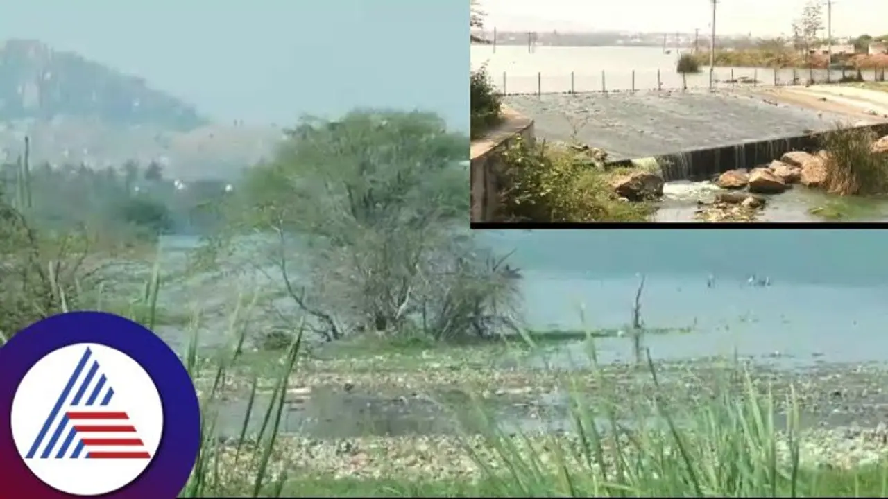 Chitradurga: ಮಲ್ಲಾಪುರ ಕೆರೆಗೆ ಚಿತ್ರದುರ್ಗದ ಯುಜಿಡಿ ನೀರು ಸೇರ್ಪಡೆ: ಸುತ್ತಲಿನ ಗ್ರಾಮಗಳಲ್ಲಿ ರೋಗ ಉಲ್ಬಣ Chitradurga: ಮಲ್ಲಾಪುರ ಕೆರೆಗೆ ಚಿತ್ರದುರ್ಗದ ಯುಜಿಡಿ ನೀರು ಸೇರ್ಪಡೆ: ಸುತ್ತಲಿನ ಗ್ರಾಮಗಳಲ್ಲಿ ರೋಗ ಉಲ್ಬಣ