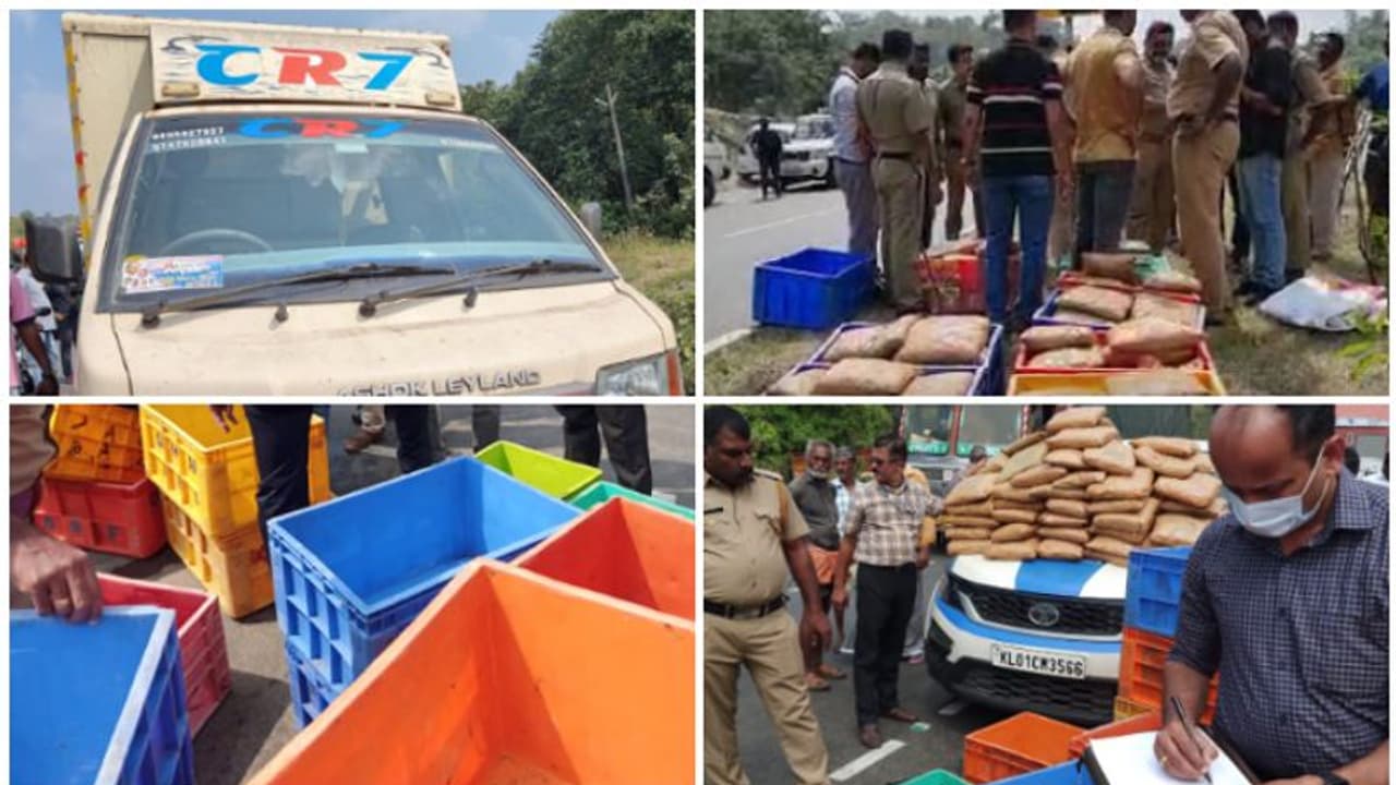 സിആർ7 മീൻവണ്ടിയിൽ പരിശോധന, കണ്ടത് വൻ കഞ്ചാവ് ശേഖരം, 100 പാക്കറ്റുകളിലായി 150 കിലോ കഞ്ചാവ്; സംഘം പിടിയിൽ