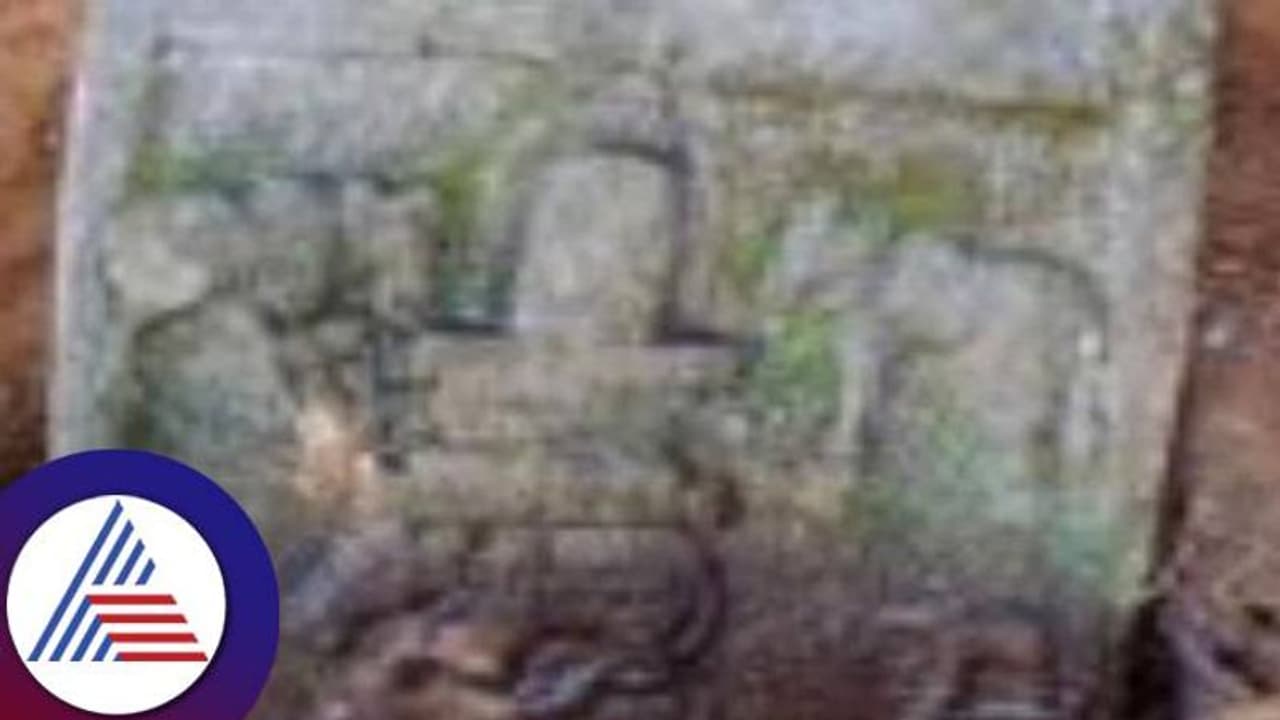 ಉಡುಪಿ: ಕುಂದಾಪುರದಲ್ಲಿ ಅಪರೂಪದ ಶಾಸನ ಪತ್ತೆ ಉಡುಪಿ: ಕುಂದಾಪುರದಲ್ಲಿ ಅಪರೂಪದ ಶಾಸನ ಪತ್ತೆ