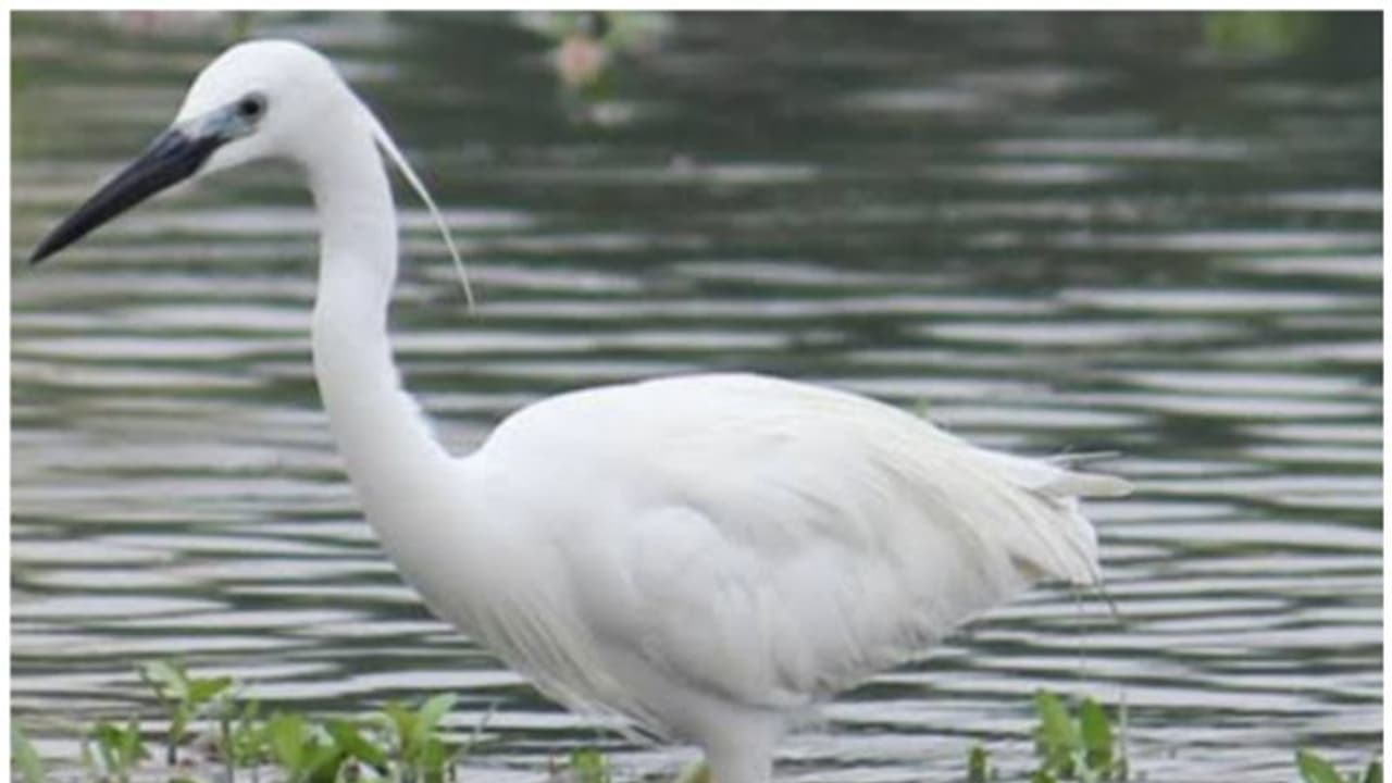  ಜಲ ಮೂಲ ನಾಶ ಪಡಿಸುವುದು ಜೀವ ಸಂಕುಲಕ್ಕೆ ವಿಷವಿದ್ದಂತೆ