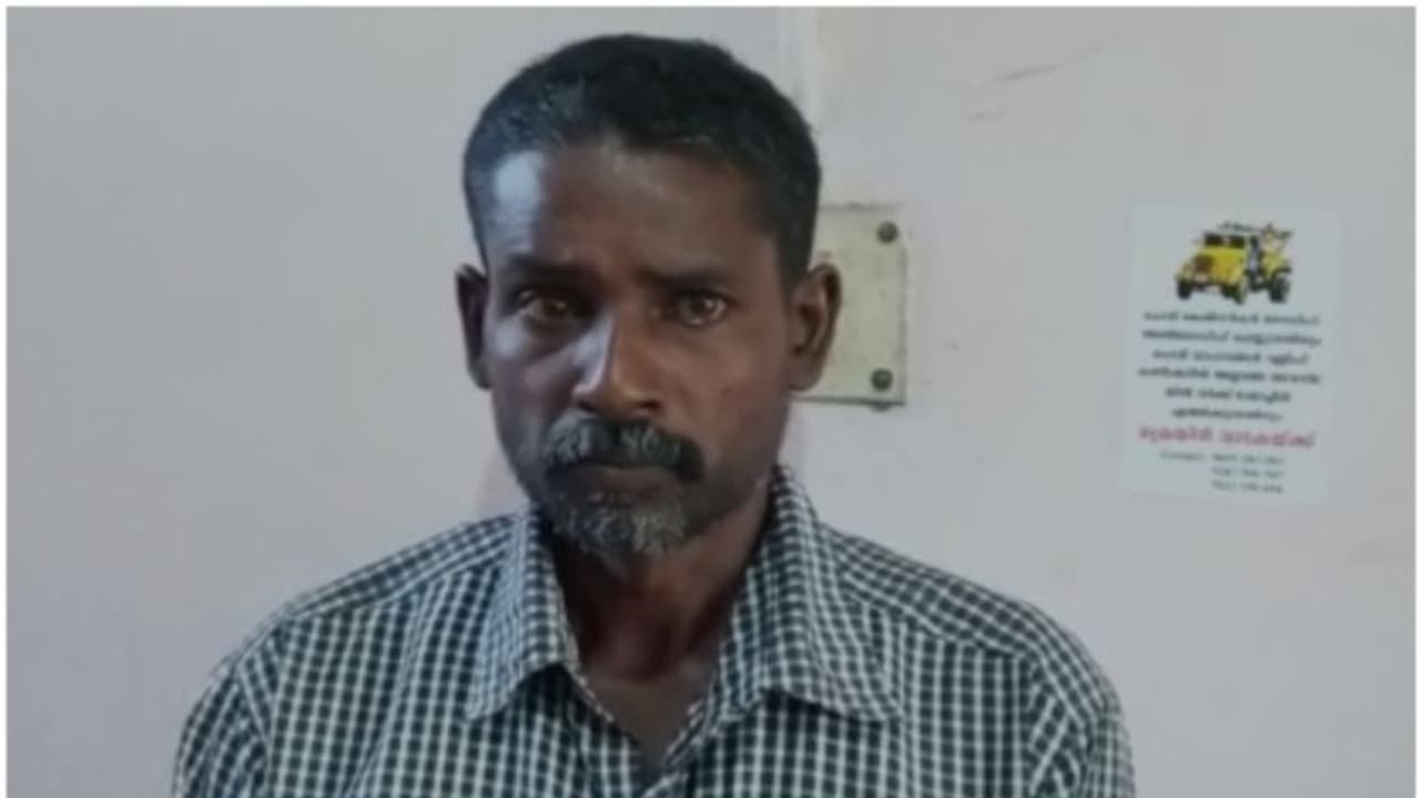 ഉടമ അറിയാതെ രണ്ടേക്കറില്‍ നിന്ന് 60 തോളം തെങ്ങ് മുറിച്ച് കടത്തി; ഒന്നാം പ്രതി പിടിയില്‍