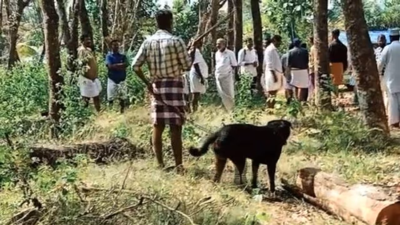 കൊല്ലത്ത് വടിവാളും വളർത്തുനായയുമായി യുവാവിന്റെ അക്രമം; പ്രതിയെ പിടികൂടാനാകാതെ പൊലീസ് കൊല്ലത്ത് വടിവാളും വളർത്തുനായയുമായി യുവാവിന്റെ അക്രമം; പ്രതിയെ പിടികൂടാനാകാതെ പൊലീസ്