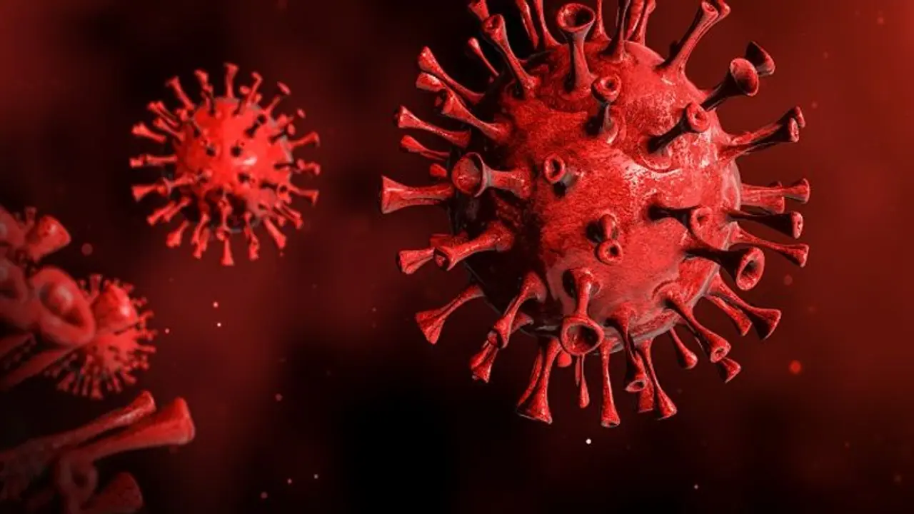 India records 5,335 fresh COVID 19 cases in last 24 hours, highest since September end