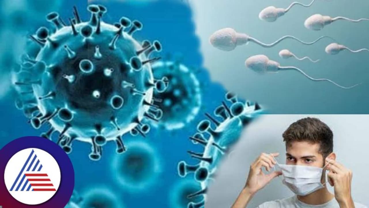 Corona Virus: ಕೊರೋನಾ ಸೋಂಕು ಬಂದಿತ್ತಾ ? ಹಾಗಾದ್ರೆ ಮಕ್ಕಳಾಗೋದು ಕಷ್ಟ ಬಿಡಿ ! Corona Virus: ಕೊರೋನಾ ಸೋಂಕು ಬಂದಿತ್ತಾ ? ಹಾಗಾದ್ರೆ ಮಕ್ಕಳಾಗೋದು ಕಷ್ಟ ಬಿಡಿ !