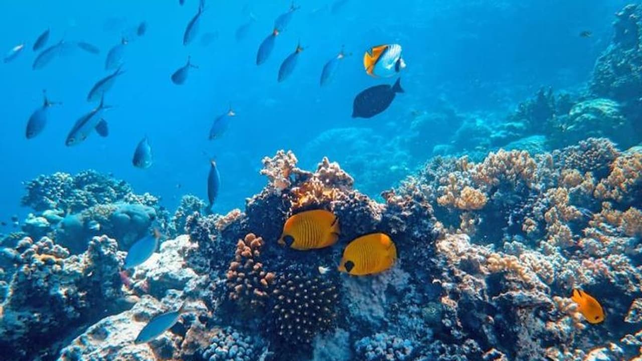 Samudrayaan to take Indian aquanauts 500 metres under sea in 2023 Samudrayaan to take Indian aquanauts 500 metres under sea in 2023