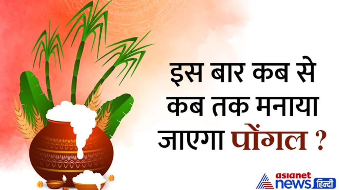 Pongal 2023: 1 नहीं 4 दिनों तक मनाया जाता है पोंगल, जानें किस दिन क्या होता है? Pongal 2023: 1 नहीं 4 दिनों तक मनाया जाता है पोंगल, जानें किस दिन क्या होता है?