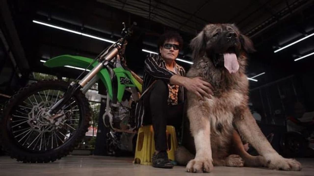 ചെന്നായ്ക്കളെ വേട്ടയാടും, റഷ്യൻ ജയിലുകൾക്ക് കാവൽ; 20 കോടിക്ക് കിടിലൻ നായയെ സ്വന്തമാക്കി യുവാവ് മാസ് വീഡിയോ ചെന്നായ്ക്കളെ വേട്ടയാടും, റഷ്യൻ ജയിലുകൾക്ക് കാവൽ; 20 കോടിക്ക് കിടിലൻ നായയെ സ്വന്തമാക്കി യുവാവ് മാസ് വീഡിയോ