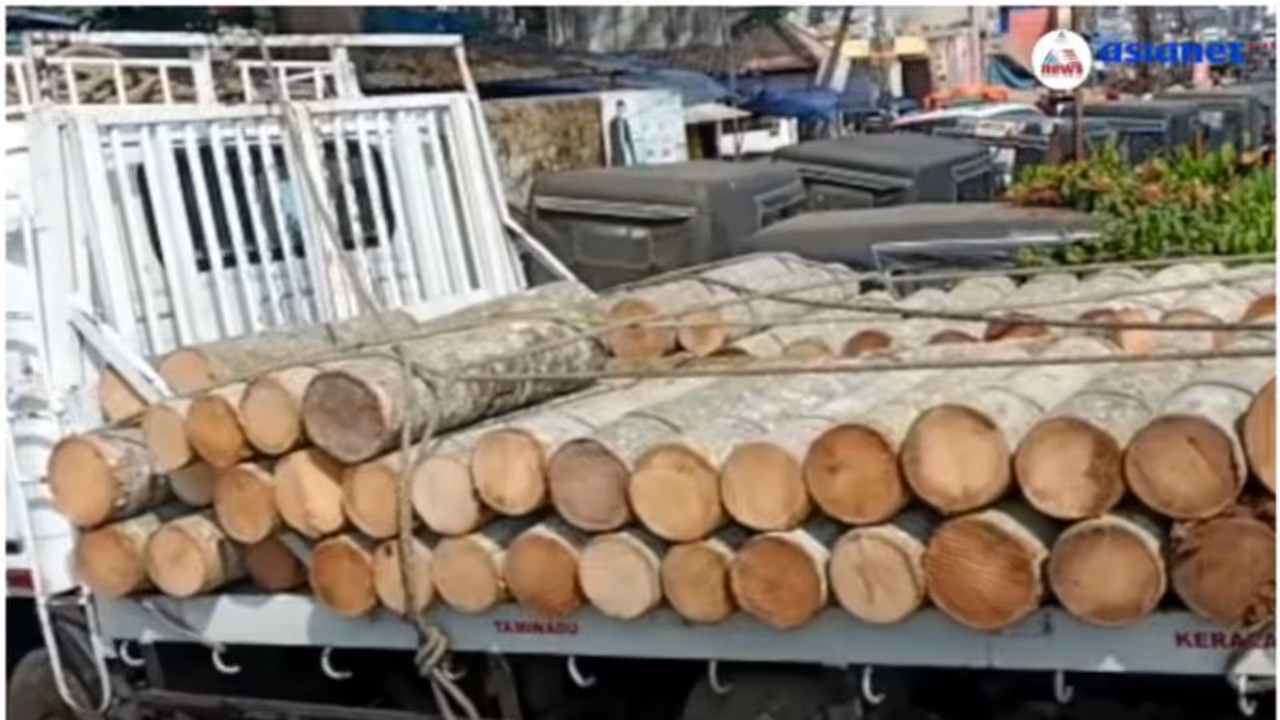 ഉടമസ്ഥൻ അറിയാതെ പറമ്പില്‍ നിന്നും തെങ്ങുകൾ മുറിച്ച് കടത്തിയ കേസ്; രണ്ടാം പ്രതി പിടിയില്‍ 