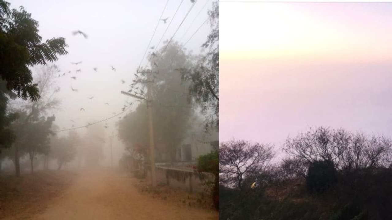 राजस्थान weather report: प्रदेश में अब मिलेगी सर्दी से थोड़ी राहत, हालांकि कोहरे ने किया जनजीवन प्रभावित राजस्थान weather report: प्रदेश में अब मिलेगी सर्दी से थोड़ी राहत, हालांकि कोहरे ने किया जनजीवन प्रभावित