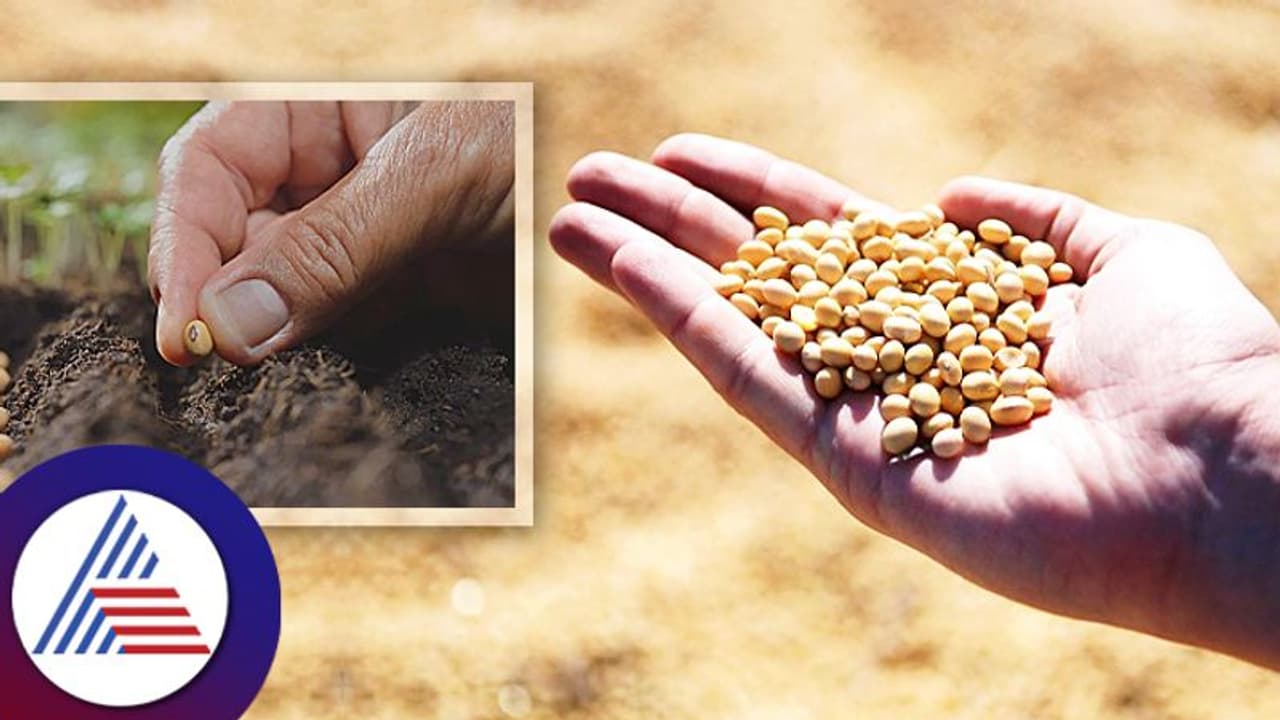 Business Idea: ಹತ್ತನೆ ಕ್ಲಾಸ್ ಪಾಸ್ ಆದ್ರೂ ಸಾಕು, ಹಳ್ಳಿಯಲ್ಲಿ ಶುರು ಮಾಡಿ ಈ ಬ್ಯುಸಿನೆಸ್ Business Idea: ಹತ್ತನೆ ಕ್ಲಾಸ್ ಪಾಸ್ ಆದ್ರೂ ಸಾಕು, ಹಳ್ಳಿಯಲ್ಲಿ ಶುರು ಮಾಡಿ ಈ ಬ್ಯುಸಿನೆಸ್