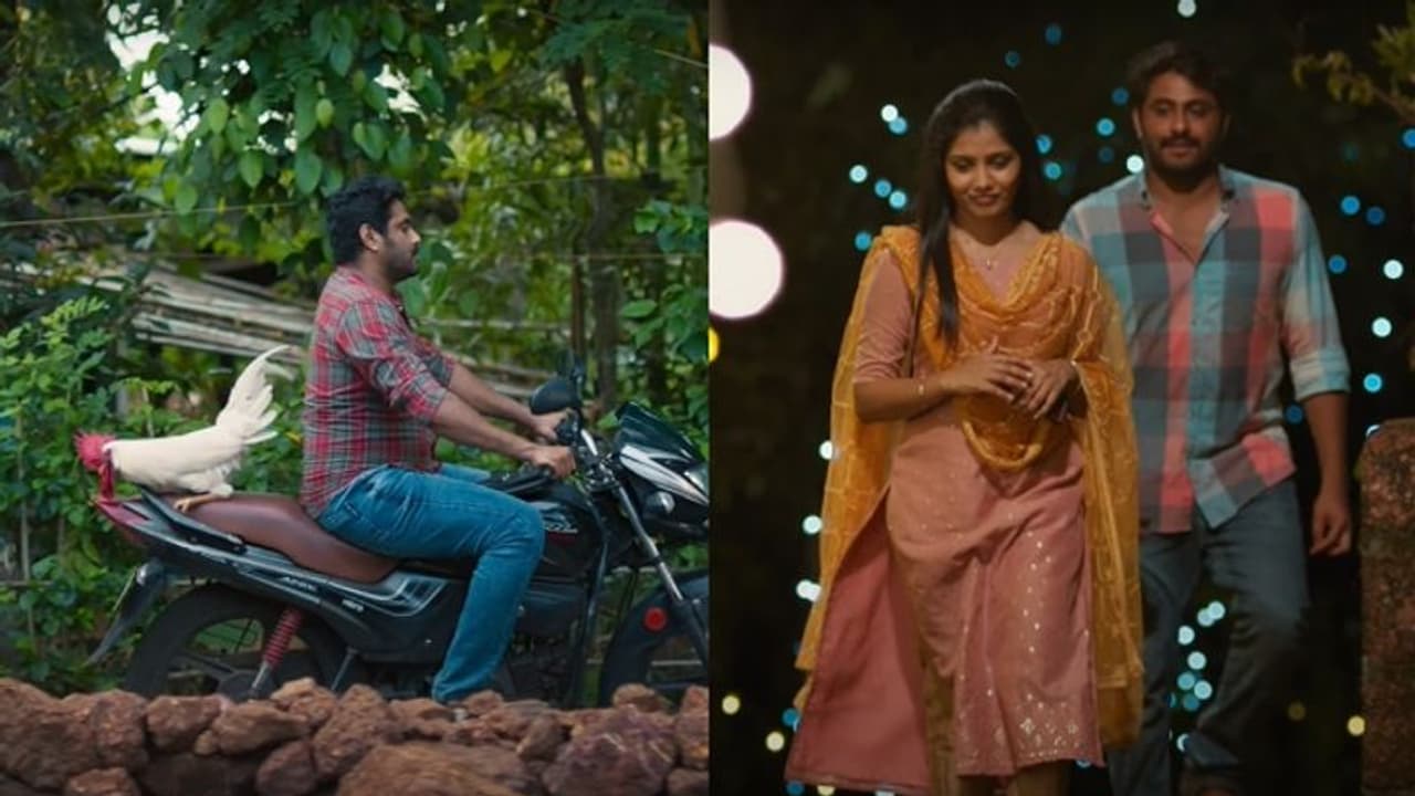 വില്ലനായി ഒരു പൂവന്കോഴി; ആന്റണി വര്ഗീസിന്റെ 'പൂവന്' ട്രെയ്ലര് വില്ലനായി ഒരു പൂവന്കോഴി; ആന്റണി വര്ഗീസിന്റെ 'പൂവന്' ട്രെയ്ലര്