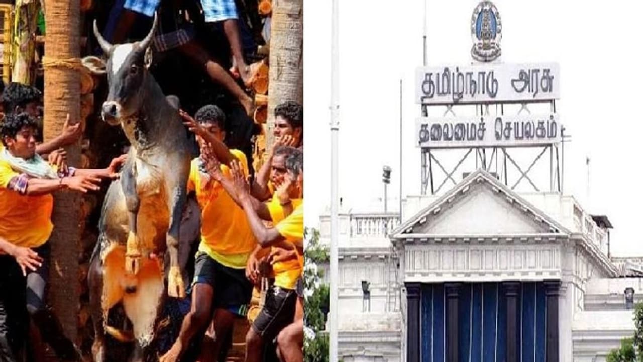 ஜல்லிக்கட்டு போட்டிக்கான நிலையான வழிகாட்டு நெறிமுறைகள்... வெளியிட்டது தமிழக அரசு!! ஜல்லிக்கட்டு போட்டிக்கான நிலையான வழிகாட்டு நெறிமுறைகள்... வெளியிட்டது தமிழக அரசு!!