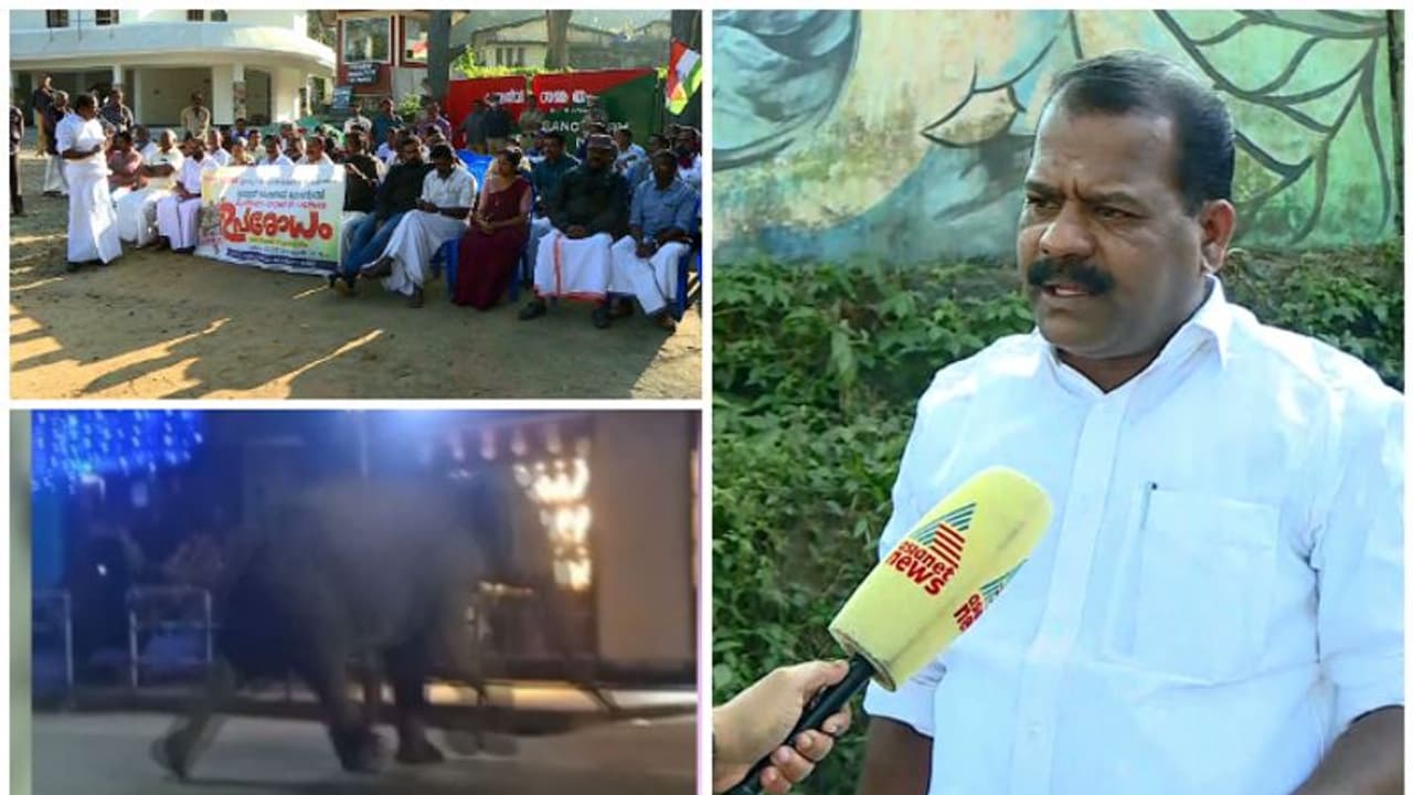 ആനയെ മയക്കുവെടി വയ്ക്കാൻ അനുമതി നൽകാത്തത് ജനങ്ങളോടുള്ള വെല്ലുവിളി; വിമർശിച്ച് ഐ സി ബാലകൃഷ്ണൻ എംഎൽഎ 