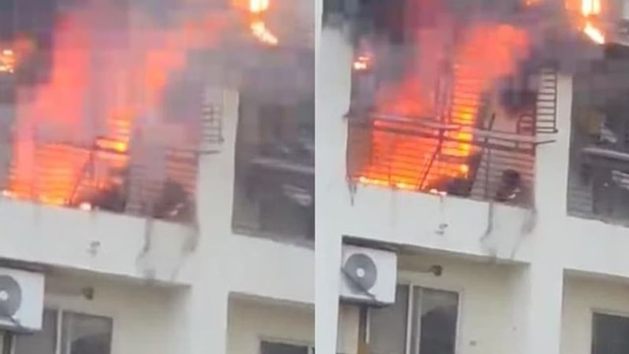 अहमदाबाद में 7वीं मंजिल पर लगी भीषण आग: खिड़की बालकनी से कूदने लगे लोग, जिंदा जल गई एक लड़की अहमदाबाद में 7वीं मंजिल पर लगी भीषण आग: खिड़की बालकनी से कूदने लगे लोग, जिंदा जल गई एक लड़की